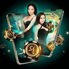 lanabet77 platform features